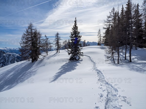 Tracks of snowshoes in winter landscape