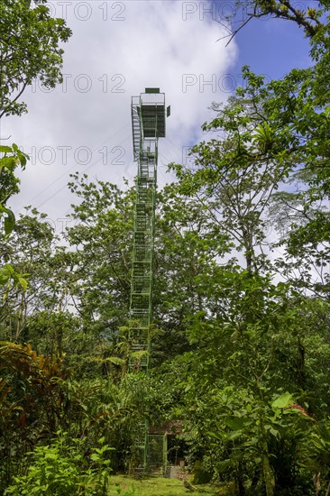 Viewing platform the Nest