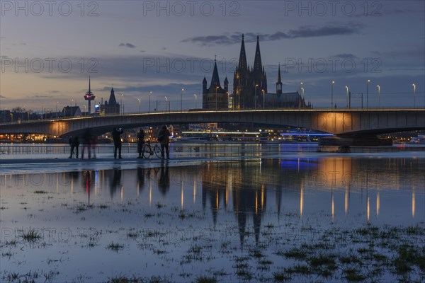 High water in Cologne