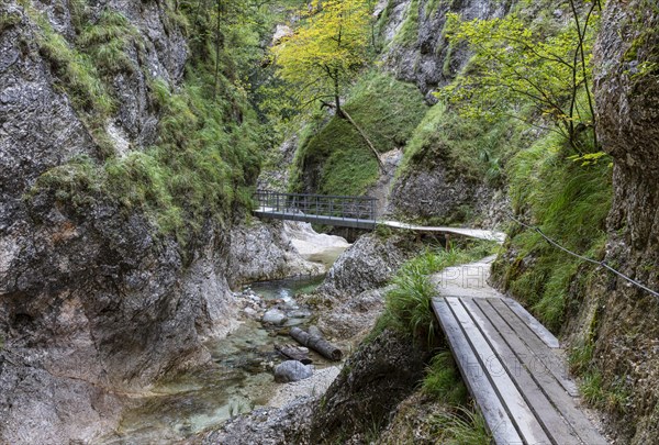 The Almbachklamm in the Berchtesgadener Land