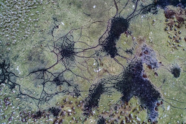 Aerial view of the Goldenstedt Moor