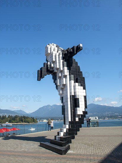 Statue Digital Orca