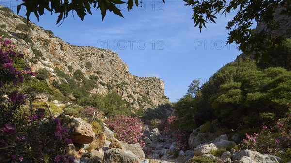 Spring in Crete