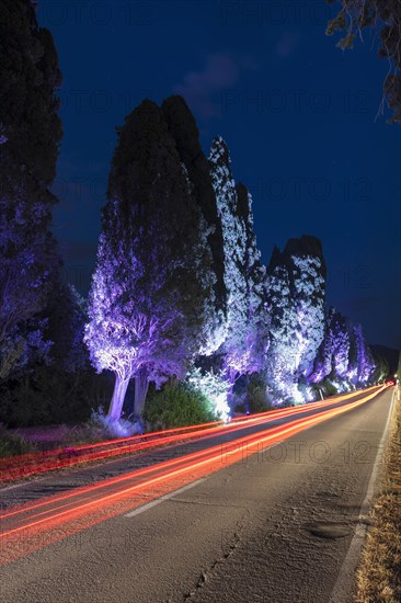 Viale dei Cipressi