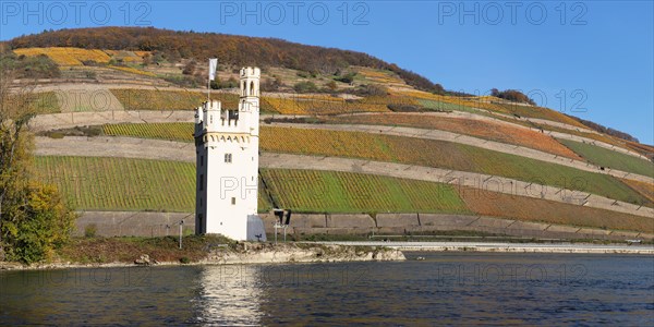 Maeuseturm