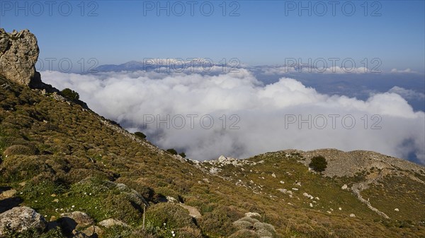 Spring in Crete