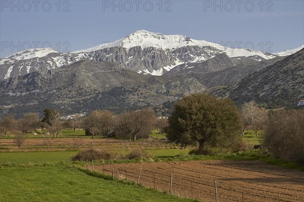 Spring in Crete