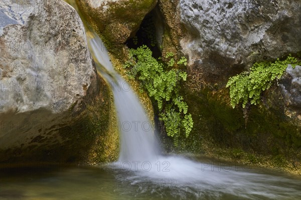 Spring in Crete