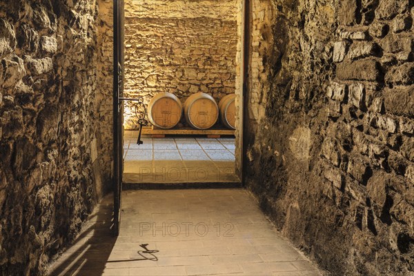 Wine Cellar