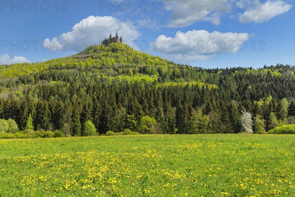 Hohenzollern Castle in spring