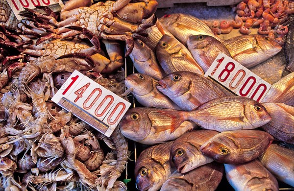 Mercato di Rialto with freshly caught fish and seafood