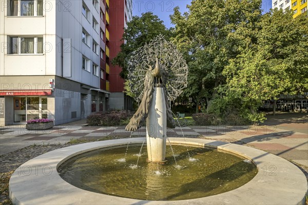 Peacock Fountain