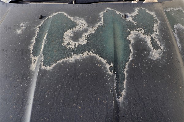 Paint damage due to sun on bonnet