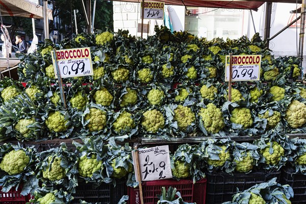 Romanesco