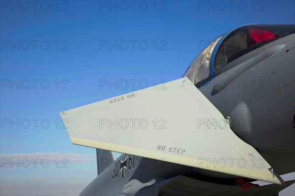 Eurofighter Typhoon with the duck wing