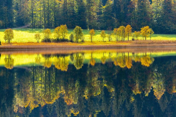 Autumn atmosphere at the Weitsee