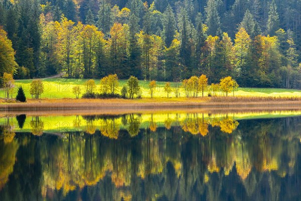 Autumn atmosphere at the Weitsee