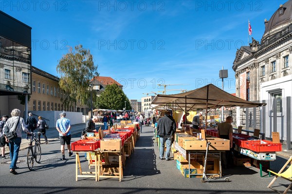 Flea market with books and records at the Bodemuseum