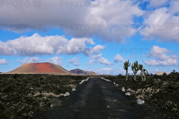 The volcano Montana Colorada near Masdache