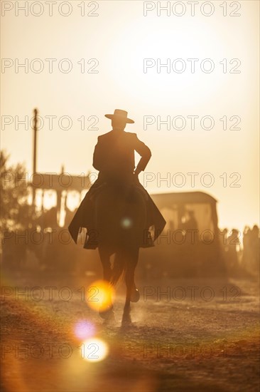 A man in sombrero on his horse