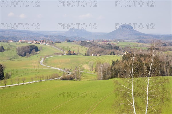 View from the Adamsberg to Table Mountains Koenigstein and Lilienstein