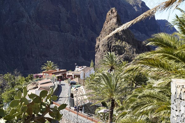 Mountain Village Masca In the Teno Mountains