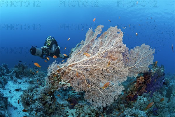 German diving legend in Egypt Rudi Kneip