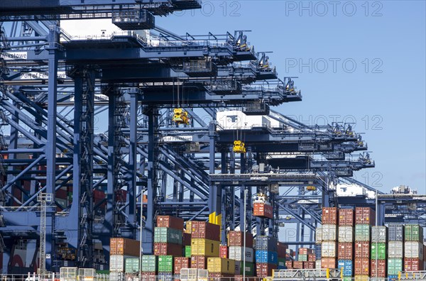 Containers and gantry cranes