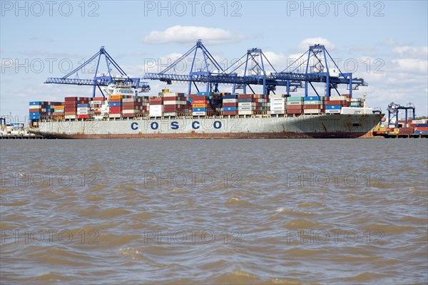 Cosco Vietnam container ship at Trinity Terminal