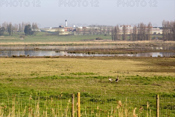 HMP Warren Hill prison from Hollesley Marshes RSPB site