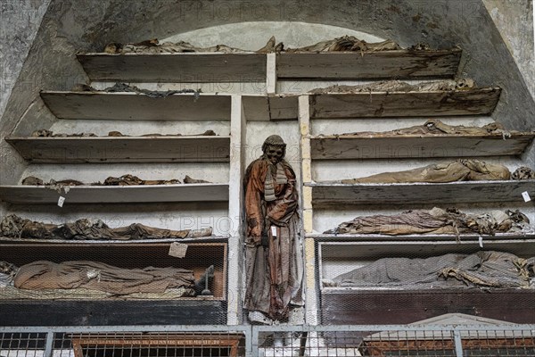 Mummies in the Capuchin Catacombs in Palermo