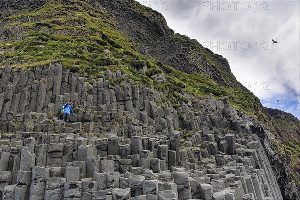 Tourist climbing basalt columns in summer