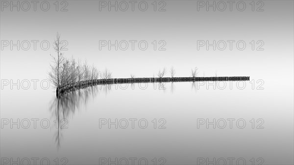 Groynes for bank protection at Mueggelsee in Berlin