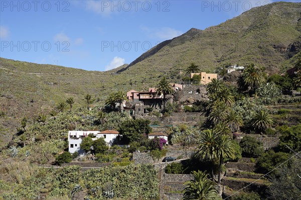 Mountain Village Masca In the Teno Mountains