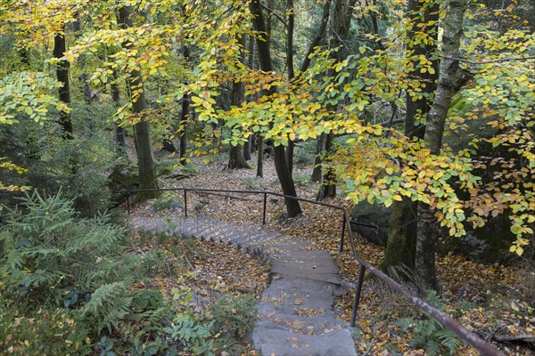 Long staircase