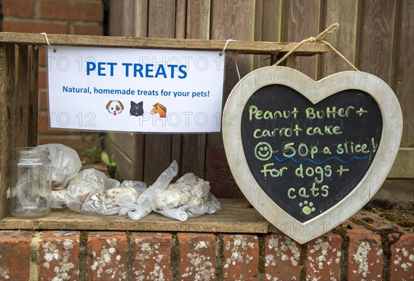 Homemade pet goodies sold by child on garden wall
