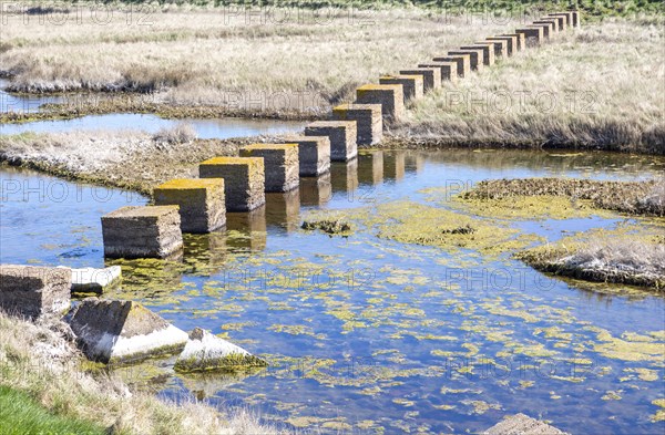 Military defences blocks of concrete tank traps stepping stones