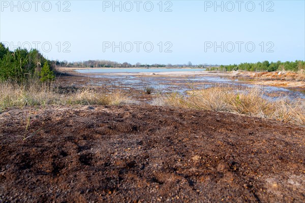 Post-opencast mining landscape