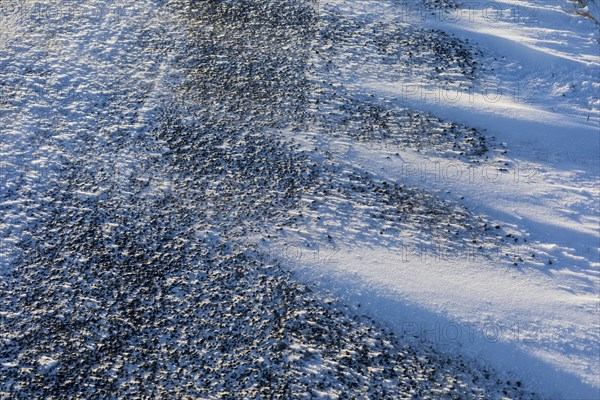 Snowdrifts on a country road between Rammenau and Frankenthal