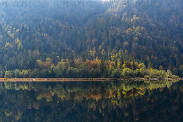 Autumn atmosphere at the Weitsee