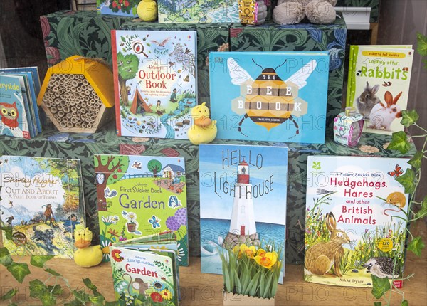 Children's books display in book shop