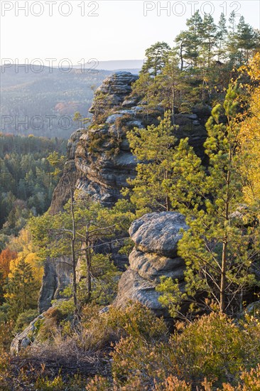Rocks and autumnal mixed forest on the Pfaffenstein