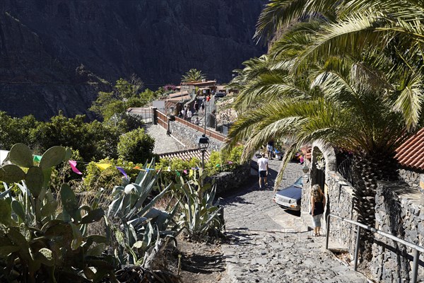 Mountain Village Masca In the Teno Mountains