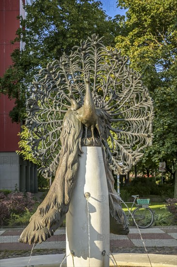 Peacock Fountain