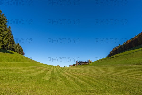 Alpine pasture and mown meadow