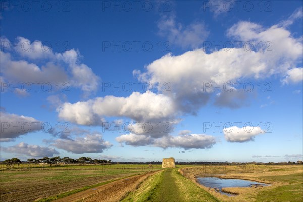 Fluffy white clouds