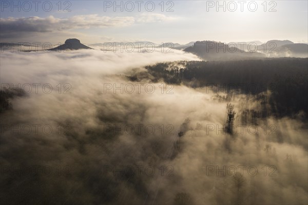 Lilienstein and Koenigstein Fortress above the fog