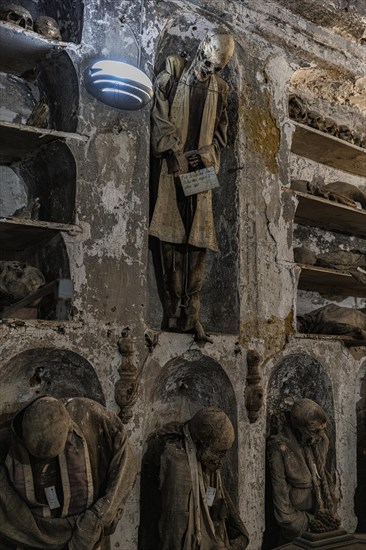 Mummies in the Capuchin Catacombs