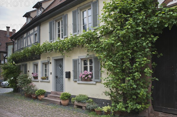 House in the historic old town of Ladenburg