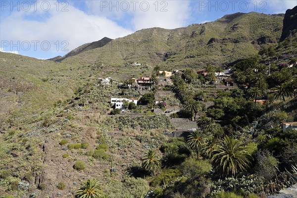 Mountain Village Masca In the Teno Mountains